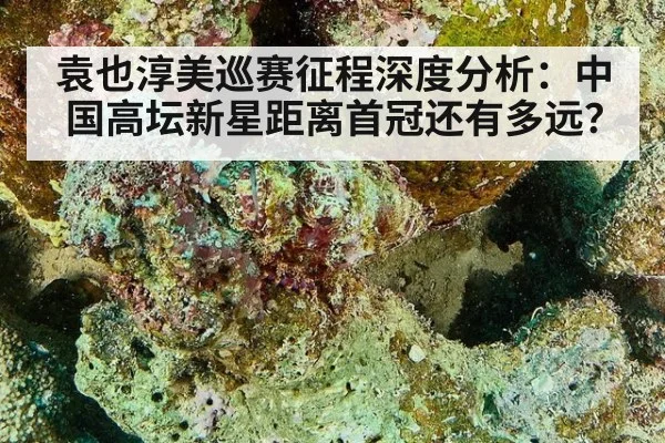 袁也淳美巡赛征程深度分析:中国高坛新星距离首冠还有多远?