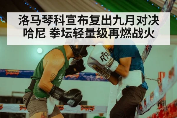 洛马琴科宣布复出九月对决哈尼 拳坛轻量级再燃战火